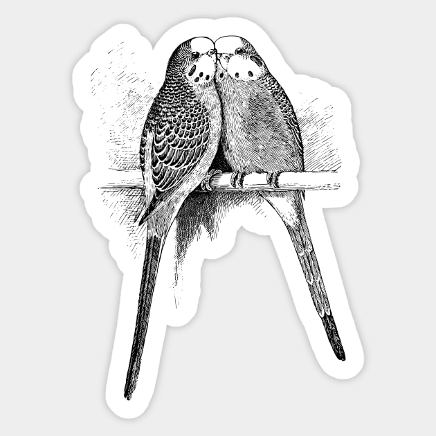 Budgies Sticker by OHH Baby